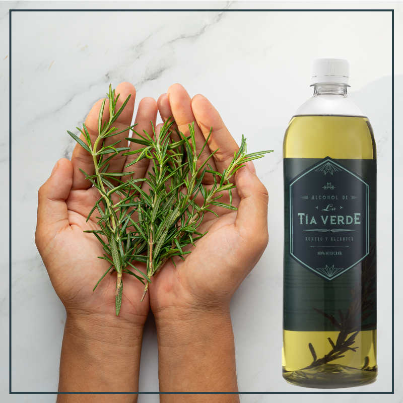 Beneficios del Romero